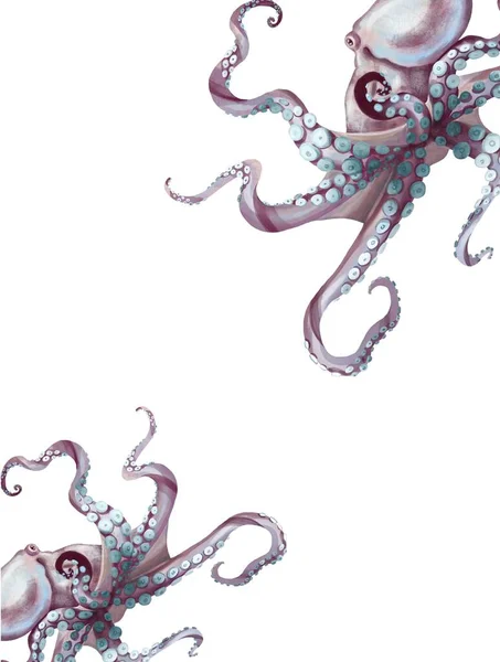 Akvarell bläckfisk. Havspulpa, djävulsk med tentakler illustration är isolerad på en vit bakgrund — Stockfoto