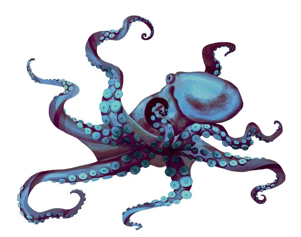 Aquareloctopus. Zee pulpa, duivels met tentakels illustratie is geïsoleerd op een witte achtergrond — Stockfoto