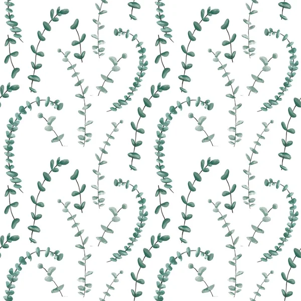 Απρόσκοπτη floral μοτίβο με φύλλα ευκαλύπτου. Υδατογραφία απρόσκοπτη μοτίβο κήπο — Φωτογραφία Αρχείου