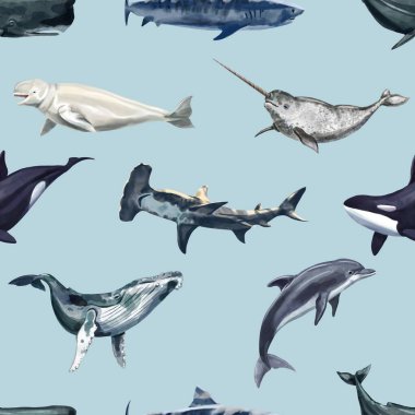 Suluboya balinaları kusursuz desen. Yunuslar, Orka, Narval, Beluga, Balinalar ve Köpekbalığı
