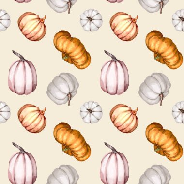 Suluboya balkabağı pürüzsüz desen. Turuncu, gül ve beyaz balkabakları