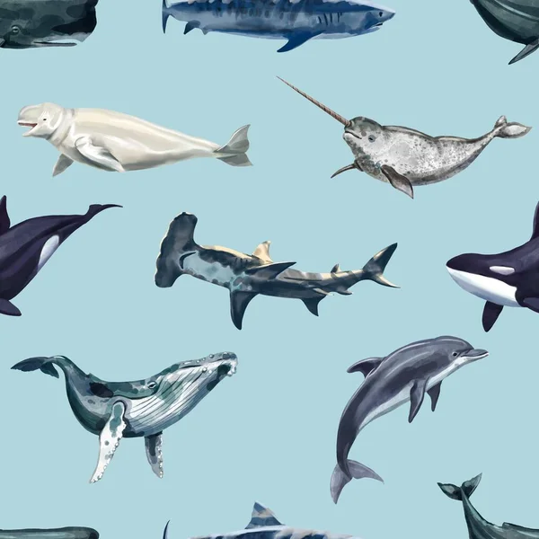 Watercolor whales seamless pattern. Dolphins, Orca, Narval, Beluga, Whales and Shark — Stock Photo, Image