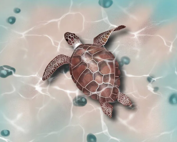 Stor havssköldpadda akvarell målning. Illustration realistisk — Stockfoto