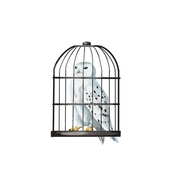 Cage aquarelle avec hibou polaire blanc. chouette dans une cage — Photo