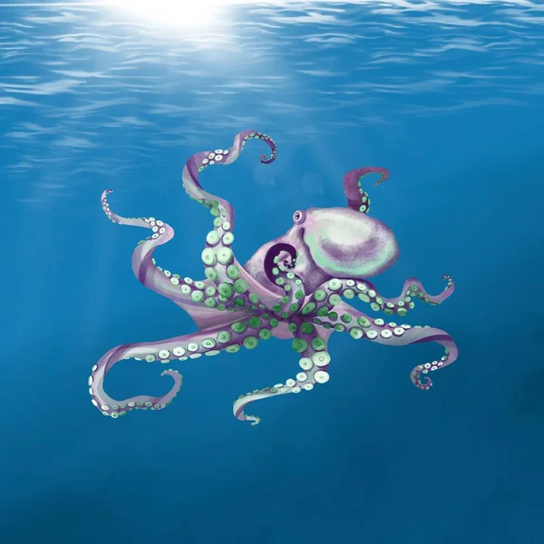 Akvarell bläckfisk som simmar i havet. Blåbläckfisk — Stockfoto