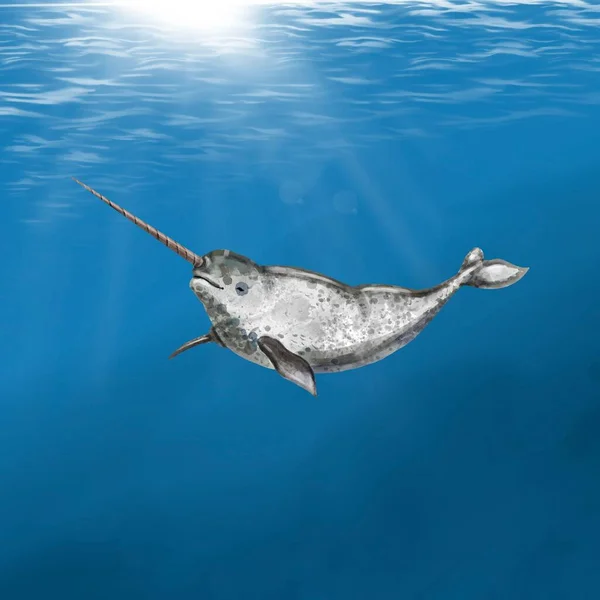 Aquarell Narval auf dem Hintergrund des Ozeans. Illustration von Narwhal — Stockfoto