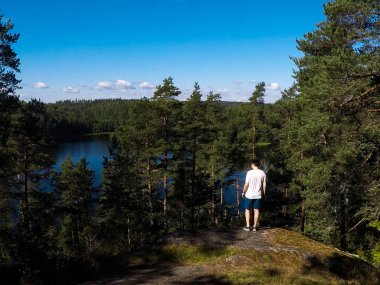 Ormandaki yaz gölü manzarası