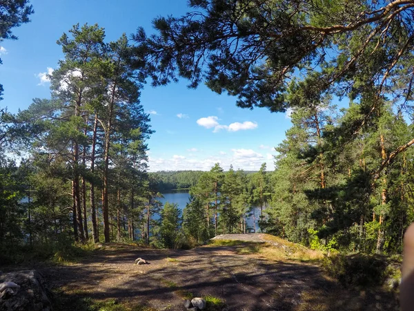 Sommer Seenlandschaft Wald — Stockfoto