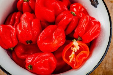 taze kırmızı sıcak habanero biber 