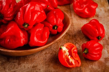 taze kırmızı sıcak habanero biber 