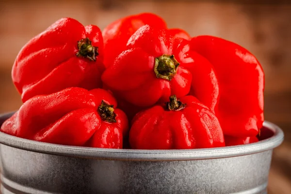 Färska röda varma habanero chili peppers — Stockfoto