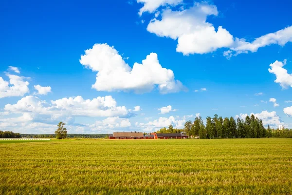 Granja roja en la Finlandia rural —  Fotos de Stock