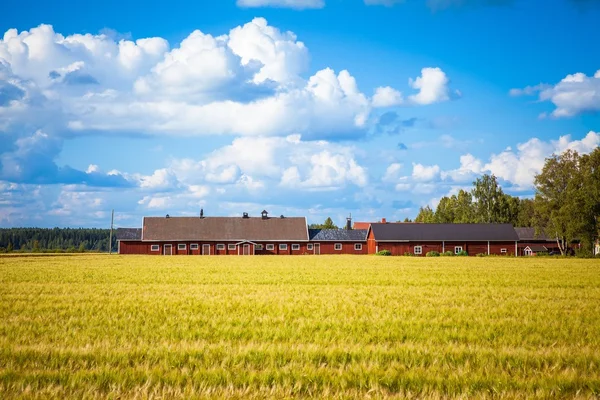 红色的农舍在农村芬兰 — 图库照片