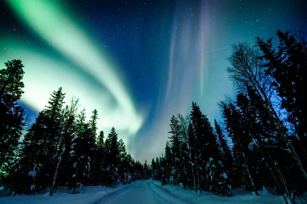 Kuzey ışıkları Aurora Borealis kışın Finlandiya ve Laponya 'da yol üzerinde faaliyet gösteriyor.