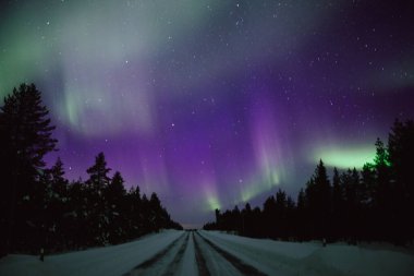Kuzey ışıkları Aurora Borealis kışın Finlandiya ve Laponya 'da yol üzerinde faaliyet gösteriyor.