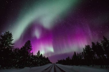 Kuzey ışıkları Aurora Borealis kışın Finlandiya ve Laponya 'da yol üzerinde faaliyet gösteriyor.