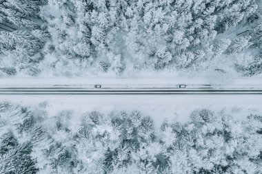 Kış ormanlarında arabalı yol manzarası karla kaplı..