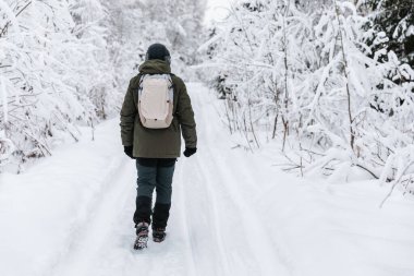 Sırt çantalı bir adam karla kaplı ormanda yürüyor. Güzel kış havası. Arka plan.