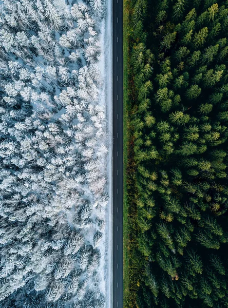 Aerial view of a highway road through the forest in summer and winter.