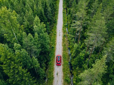 Finlandiya 'da yeşil yazlık orman yolunda çatısı olan kırmızı arabanın hava manzarası.