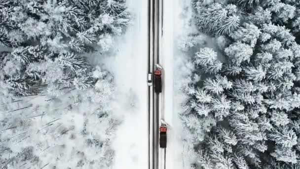 Vedere Aeriană Camionului Plug Zăpadă Drumul Înzăpezit Acțiune Pluguri Zăpadă — Videoclip de stoc