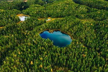Yazın Finlandiya 'da vahşi yeşil ormanların, mavi göllerin ve nehirlerin havadan görünüşü