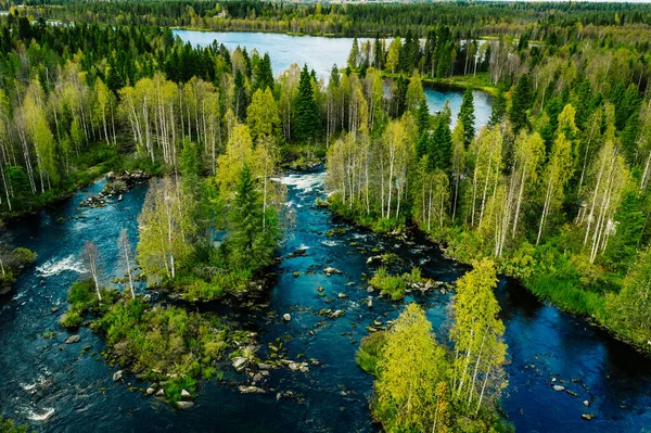 Widok Lotu Ptaka Rzekę Pięknym Zielonym Wiosennym Lesie Finlandii — Zdjęcie stockowe