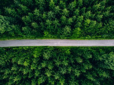 Yeşil köknar ormanındaki yolun havadan görünüşü. Yazın Finlandiya 'da köy yolu olan yeşil orman.