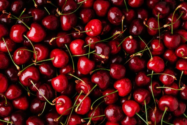 Cherry Sladké Třešně Pozadí Zralé Sladké Červené Třešně Horní Pohled — Stock fotografie