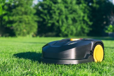 Robotik çim biçme makinesi bahçede çim biçiyor. Güneşli bir günde modern bahçede otomatik robot çim biçme makinesi..