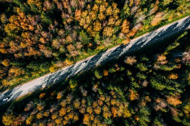 Aerial view of fall road and car through the autumn forest with yellow and red leaves