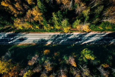 Aerial view of fall road and car through the autumn forest with yellow and red leaves