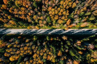 Aerial view of fall road and car through the autumn forest with yellow and red leaves