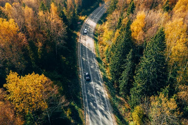 Aerial View Fall Road Car Autumn Forest Yellow Red Leaves — Stockfoto
