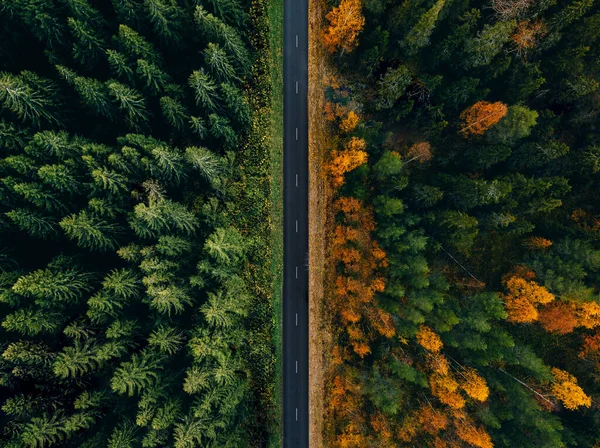 Luchtfoto Van Een Autoweg Door Het Bos Zomer Herfst — Stockfoto