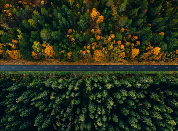 Luchtfoto Van Een Autoweg Door Het Bos Zomer Herfst — Stockfoto