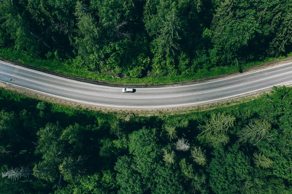 Kavisli Yolu Olan Yeşil Yaz Ormanının Hava Aracı Görüntüsü — Stok fotoğraf