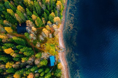 Finlandiya 'da mavi göl kıyısında kır evi ve ahşap iskele olan sarı ve turuncu sonbahar ormanlarının hava manzarası.
