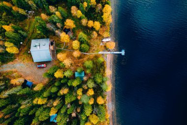 Finlandiya 'da mavi göl kıyısında kır evi ve ahşap iskele olan sarı ve turuncu sonbahar ormanlarının hava manzarası.