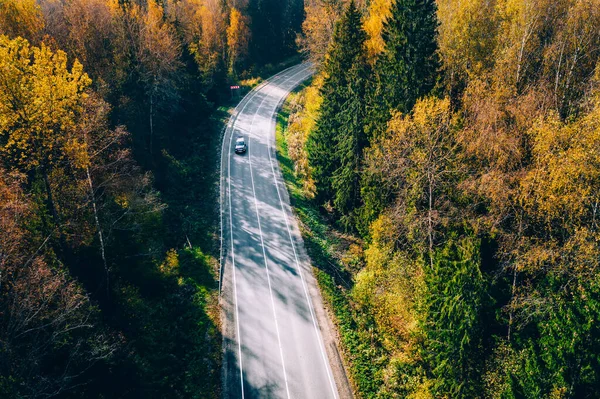 赤とオレンジの葉を持つ秋の森の中の道路の空中ビュー 森の中に金色の紅葉の秋の道 — ストック写真