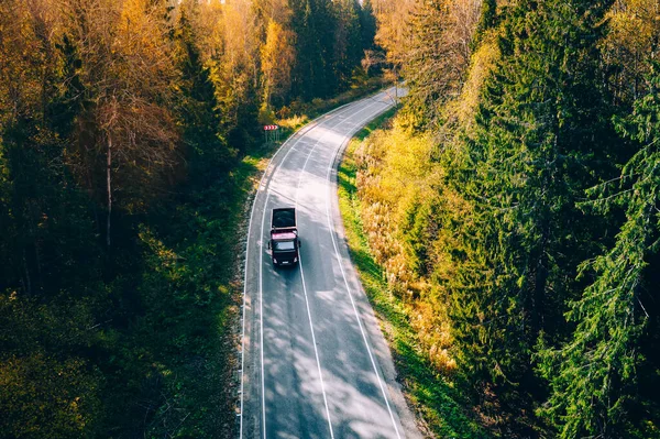 赤とオレンジの葉を持つ秋の森の中の道路の空中ビュー 森の中に金色の紅葉の秋の道 — ストック写真