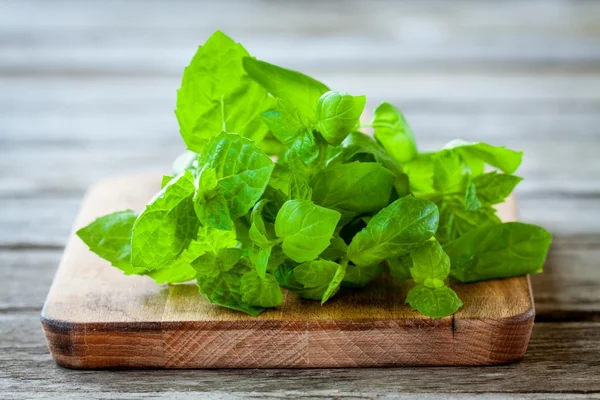 Bunch of fresh mint — Stock Photo, Image