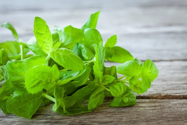 Bunch of fresh mint — Stock Photo, Image