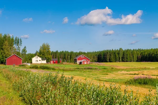 Casas rojas en un paisaje rural — Foto de Stock