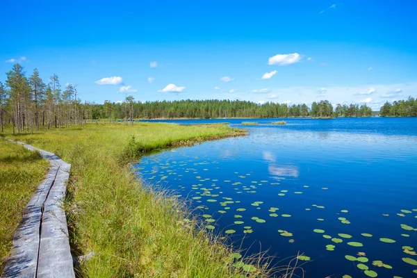 Sentier en bois autour du lac dans une forêt — Photo