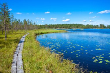 bir ormandaki göl kenarındaki ahşap iz