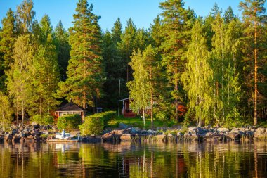 Gölde yansıtan orman