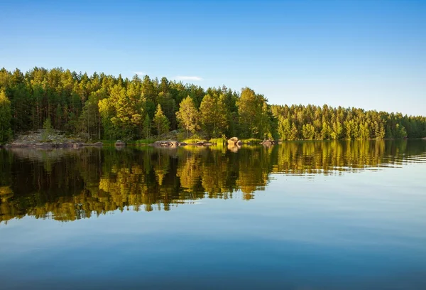 Floresta refletindo no lago — Fotografia de Stock