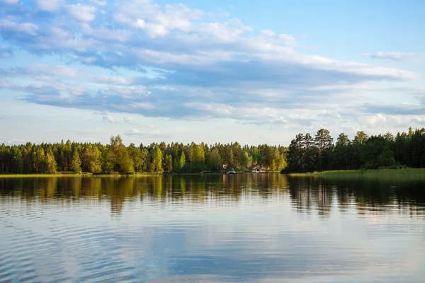 Skogen återspeglar i sjön — Stockfoto