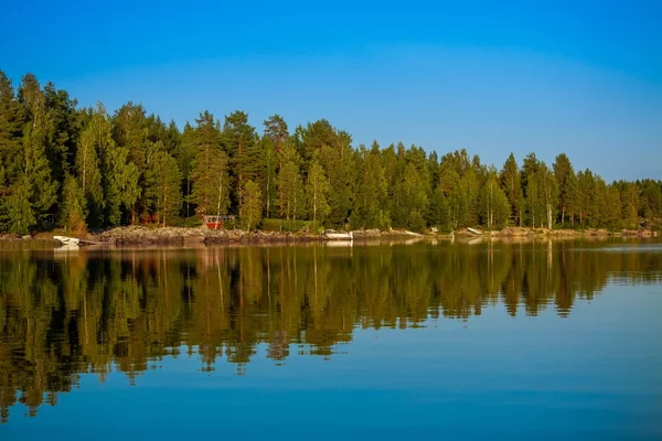 Floresta refletindo no lago — Fotografia de Stock